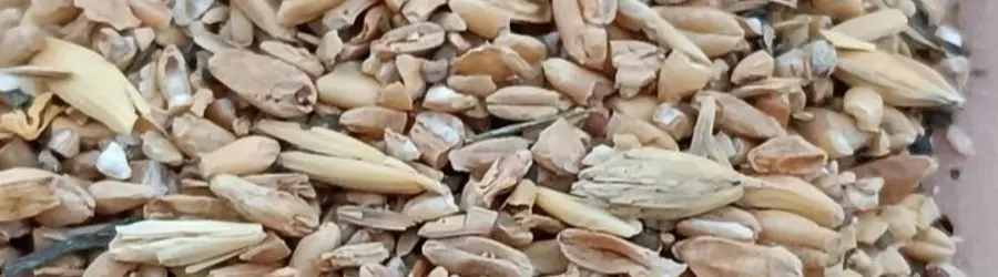 خوراک دام طاهر 