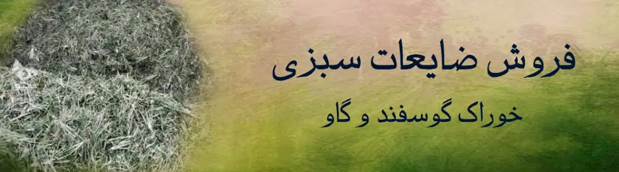 فروش ضایعات سبزی 