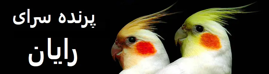پرنده سرای خانگی رایان