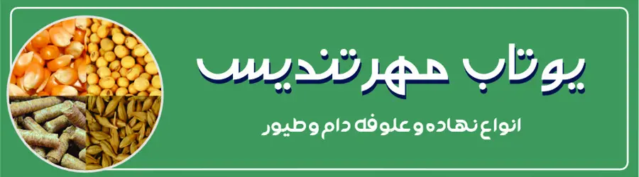 یوتاب مهر تندیس 