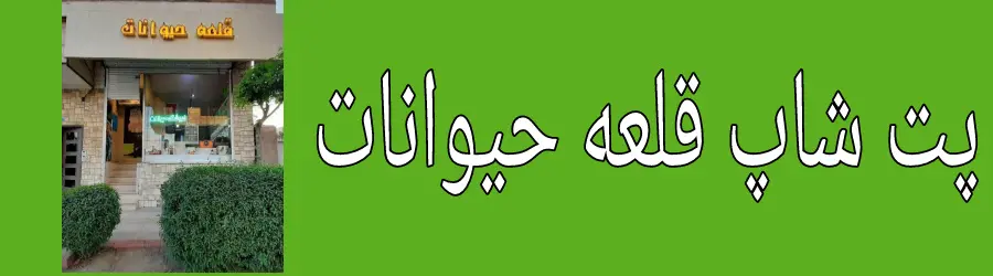 پت شاپ قلعه حیوانات