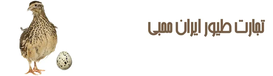 تجارت طیورایران محبی