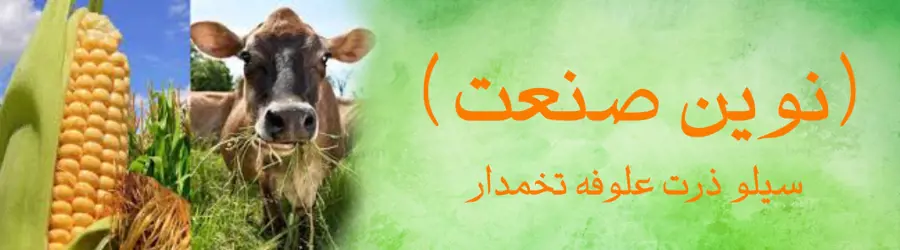 نوین صنعت