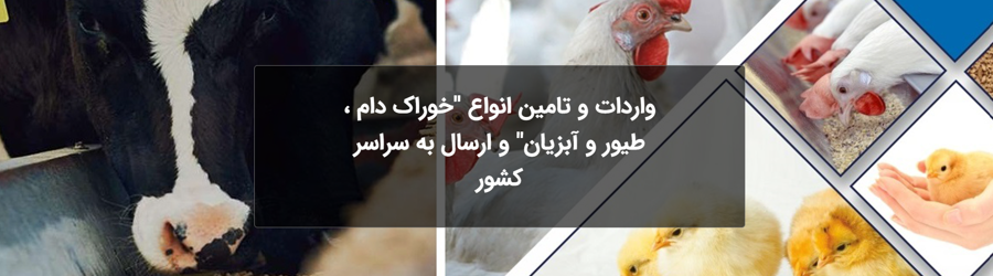 کیا تجارت