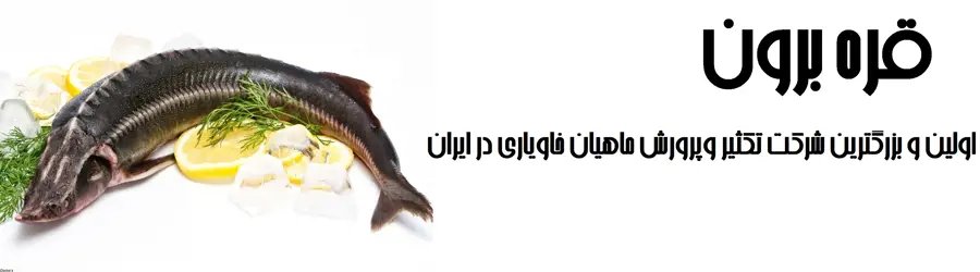 غرفه قره برون 