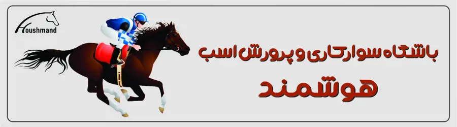 باشگاه سوارکاری هوشمند