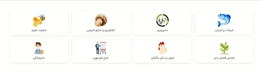 فراساحل نگار