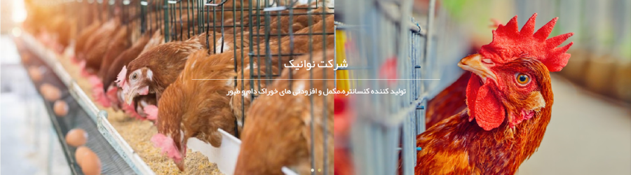 شرکت نوانیک 
