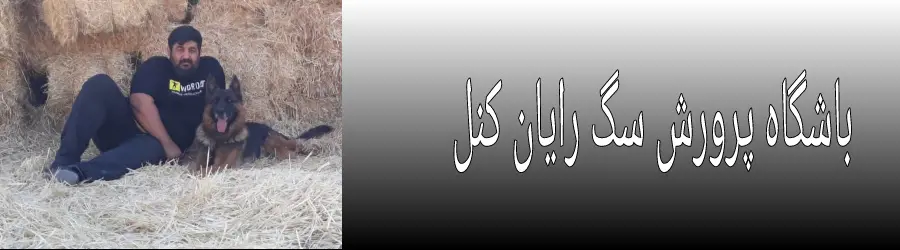 رایان کنل