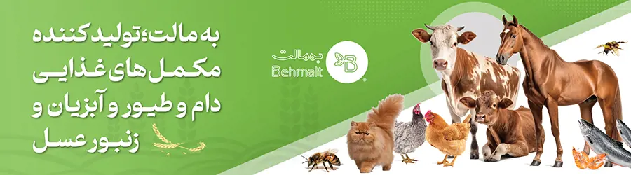 به مالت
