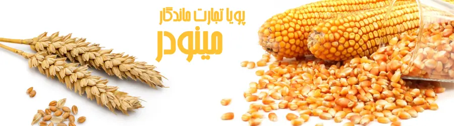 پویاتجارت ماندگار مینودر