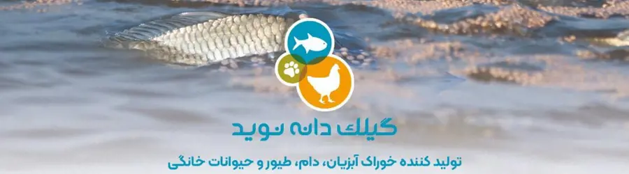 گیلک دانه نوید(شعبه اهواز)