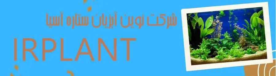 نوین آبزیان ستاره آسیا
