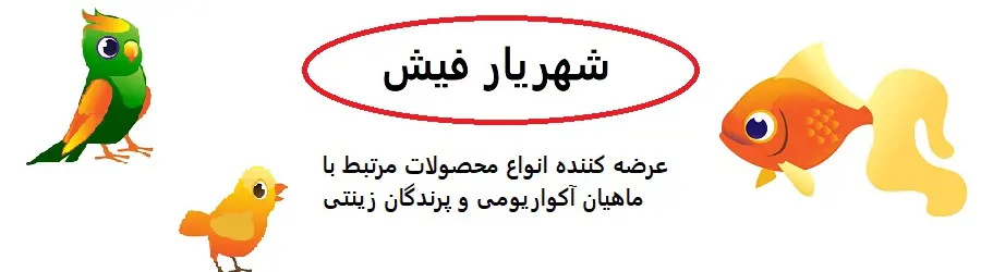 شهریار فیش