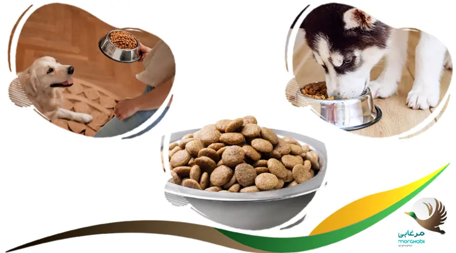 غذای سگ مونلو تردیشنال