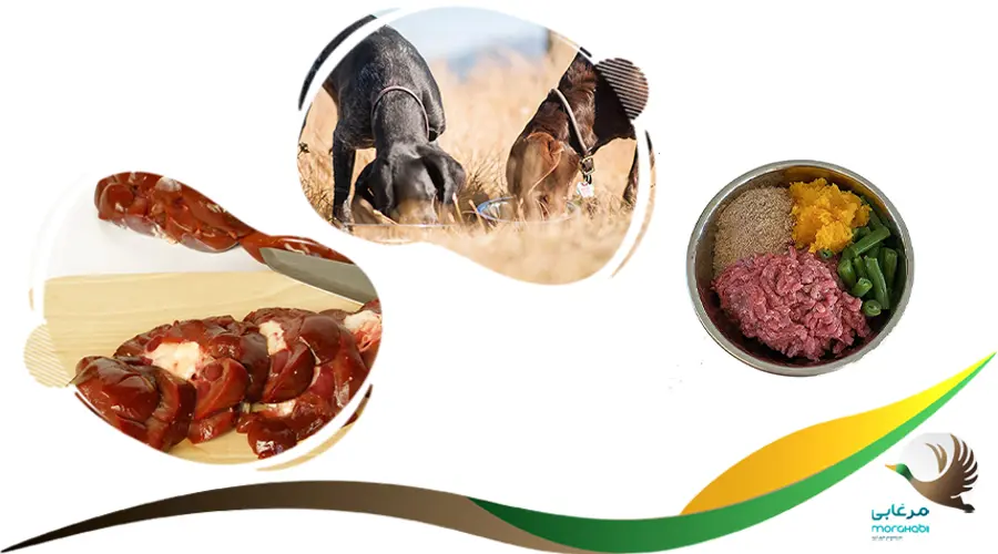 بهترین غذای تقویتی سگ نگهبان 