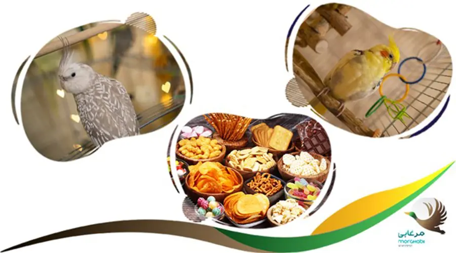 چیپس و پفک سمی برای عروس هلندی