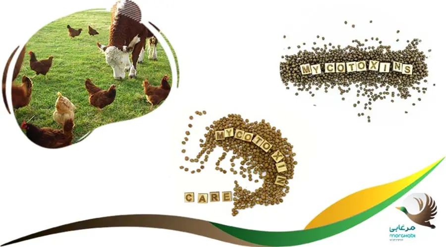 مزایای توکسین بایندر