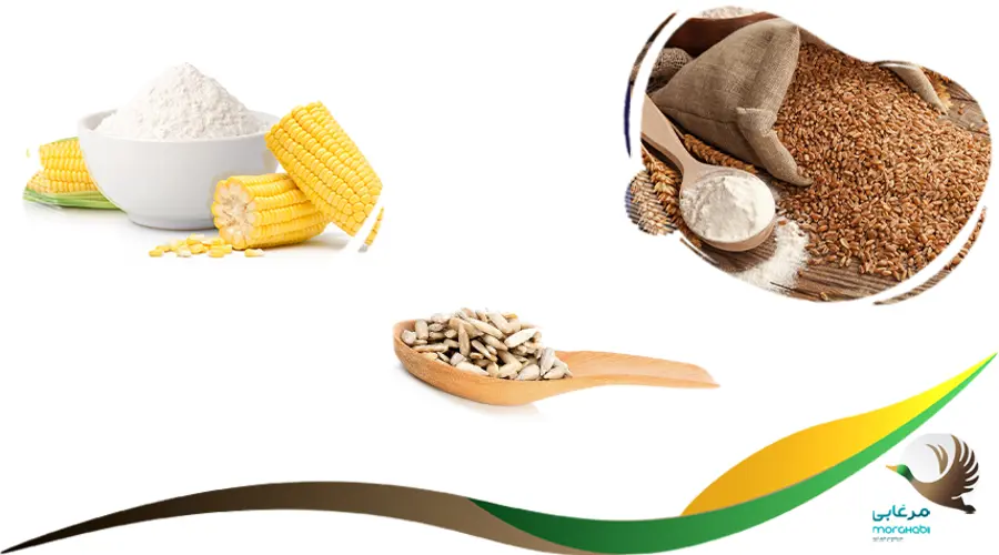 ترکیبات سرلاک جوجه